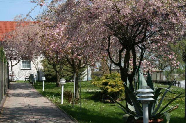 Familienhotel Zur Linde Panschwitz-Kuckau ภายนอก รูปภาพ